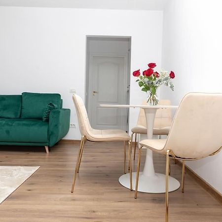 Enescu 3 City Center Flat 蒂米什瓦拉 外观 照片