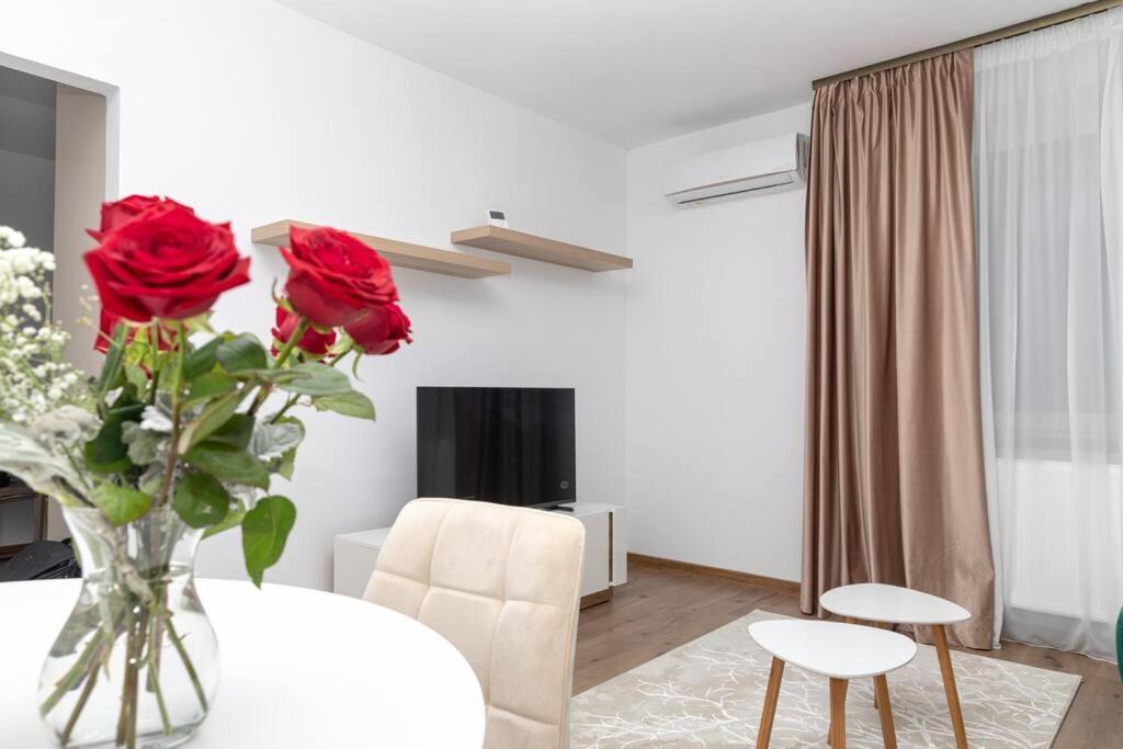 Enescu 3 City Center Flat 蒂米什瓦拉 外观 照片