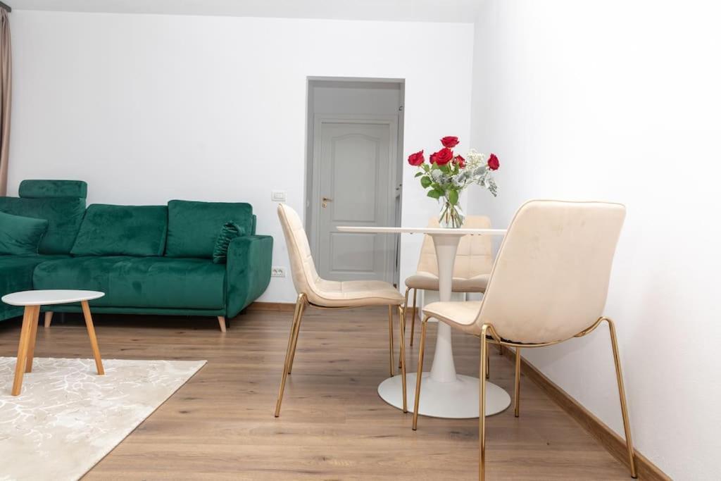 Enescu 3 City Center Flat 蒂米什瓦拉 外观 照片